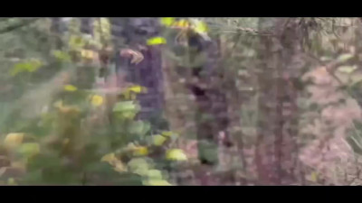 Slemgem cutie's perfect body gets fucked hard in the forest.
