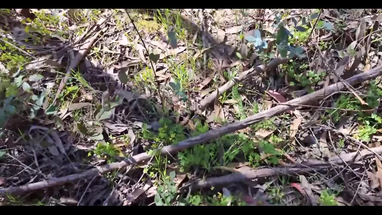 Watch Lovely Friend's mom does some sexual favours in the forest Full. Duration: 11:20 | ePornBabe.