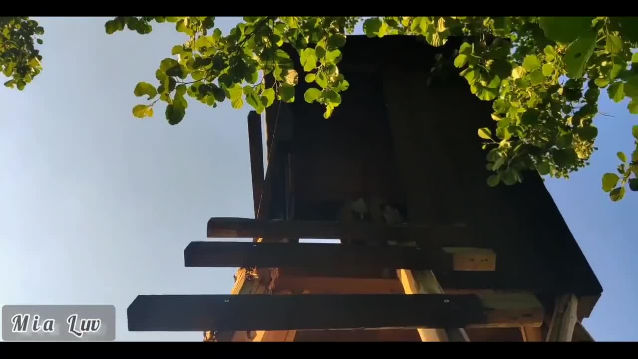 Watch Outdoor fuck with beauty babe in red lingerie with huge cumshot Full. Duration: 10:56 | ePornBabe.