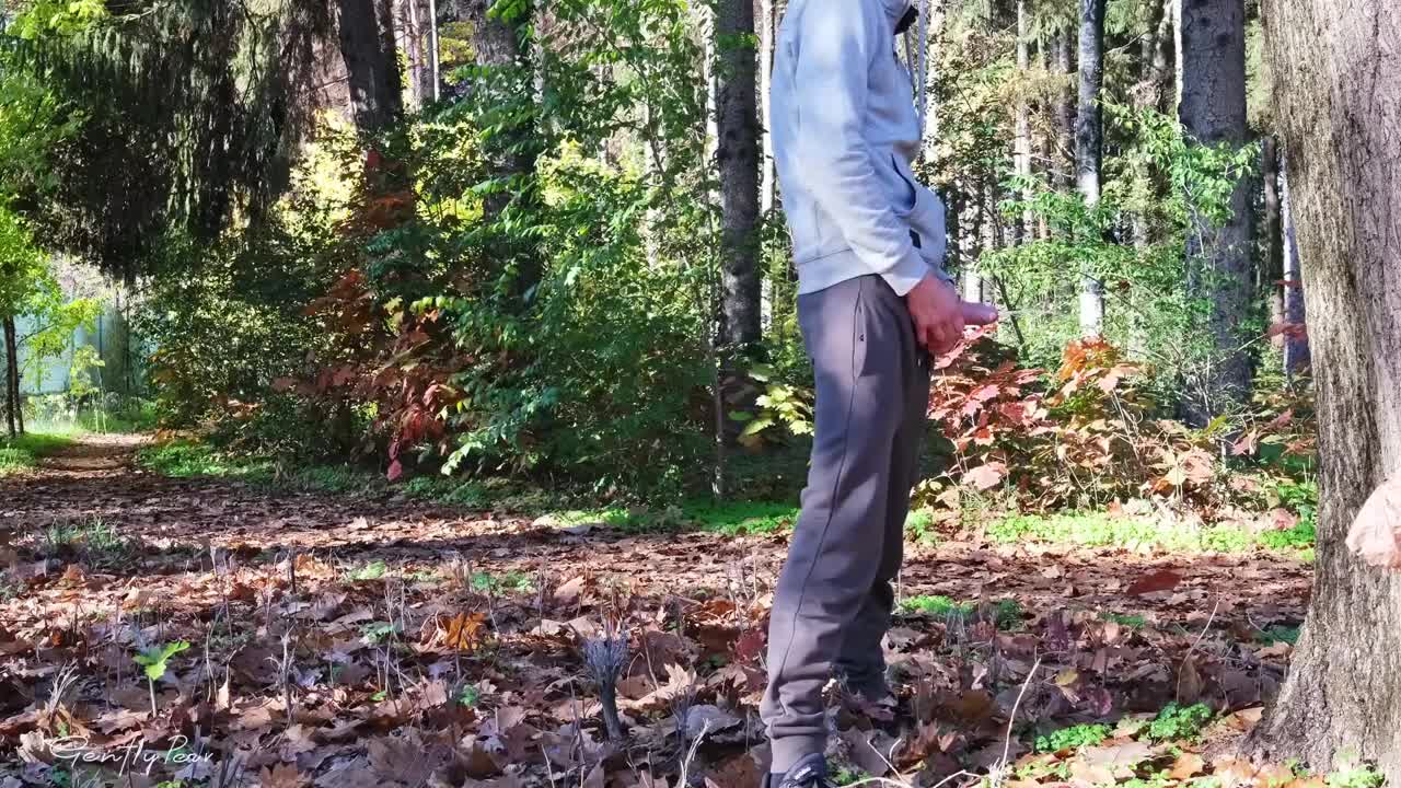 Watch Plump Busty Hottie Satisfies the Exhibitionist's Sexual Needs With Blowie And Titjob In the Park Full. Duration: 06:41 | ePornBabe.