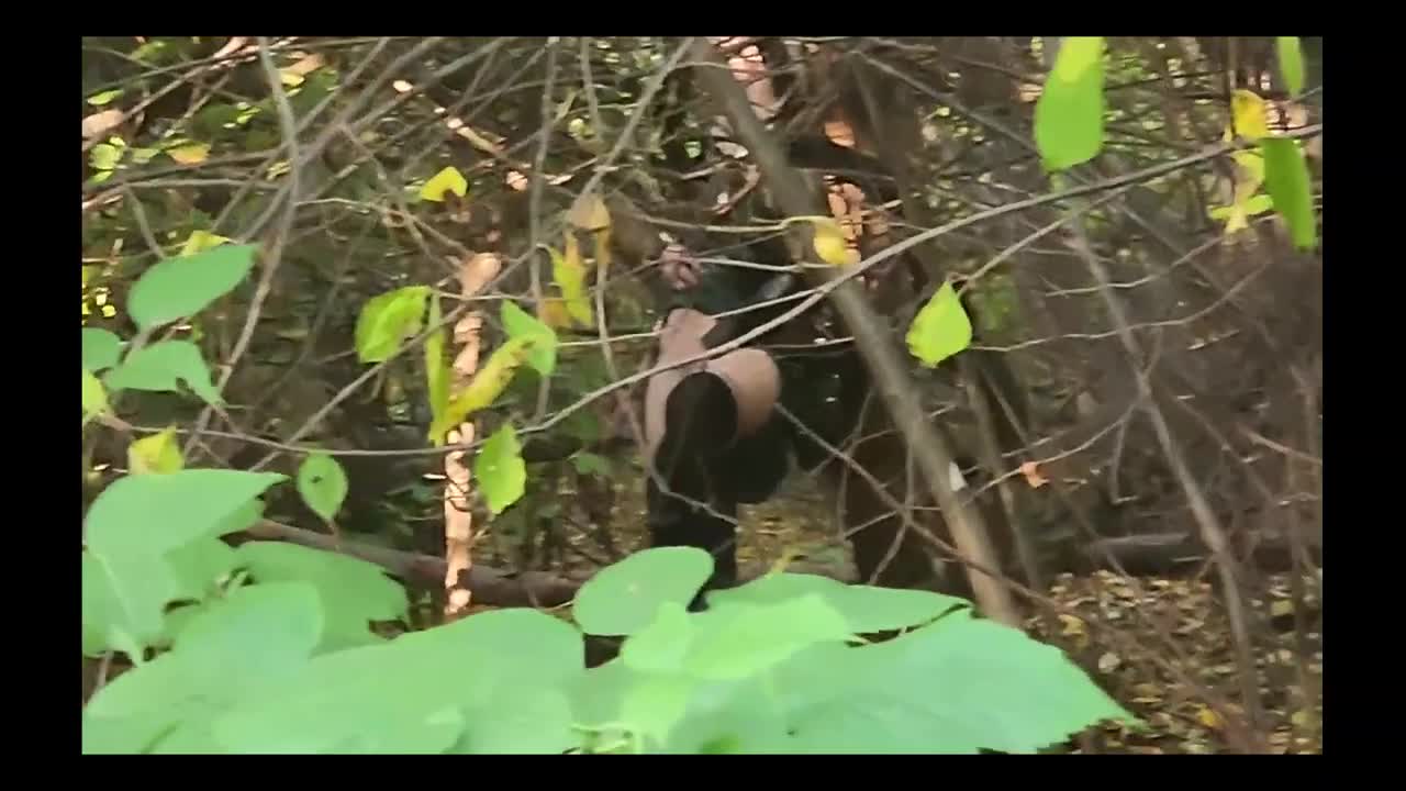 Watch the best blowjob is a blowjob in nature Full. Duration: 11:30 | ePornBabe.