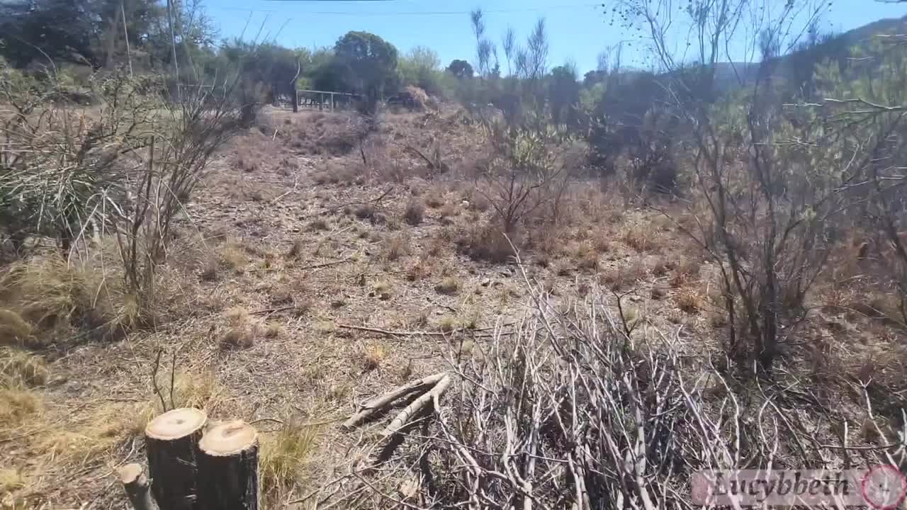 Watch My Sexy Brunette GF Warmed My Dick Up With her Hot Pussy and Tender Lips During our Autumn Walk Full. Duration: 09:58 | ePornBabe.