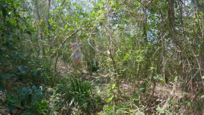 A teen girl got lost in the forest and a kind guy helped her get out of there for just three creampies