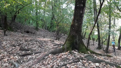 Teen with small tits after riding a bike arranged outdoor sex.