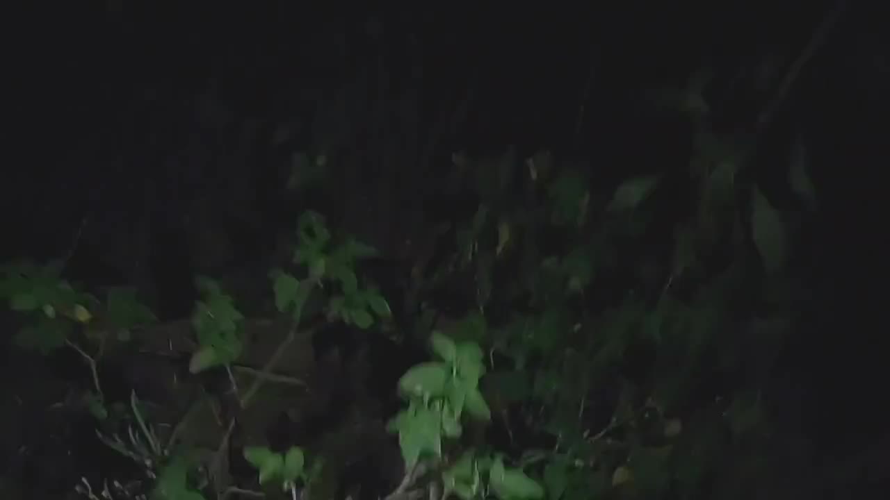 Watch Crazy couple fucks in a public place at night Full. Duration: 05:22 | ePornBabe.