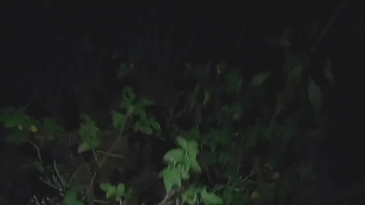 Crazy couple fucks in a public place at night