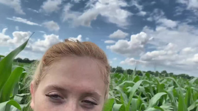 Outdoor sex and blowjob on a corn field
