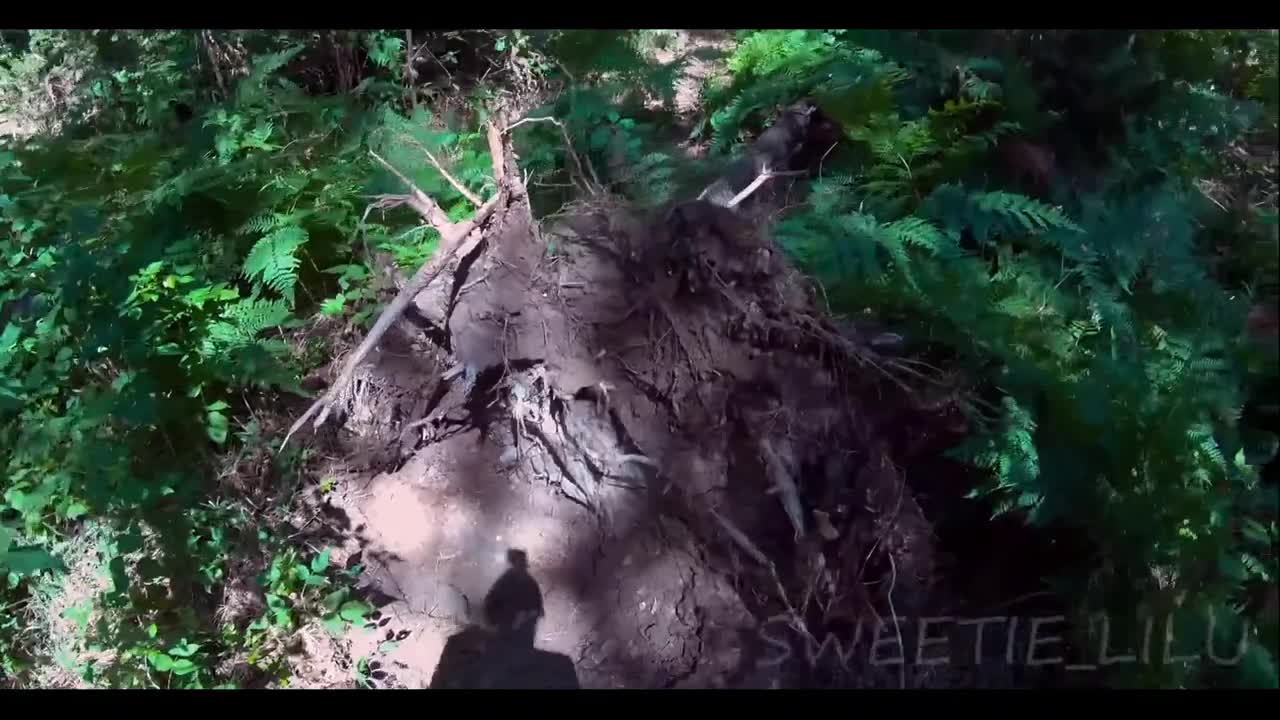 Watch A stranger fucked a bitch with a naked ass in the woods. Full. Duration: 08:27 | ePornBabe.