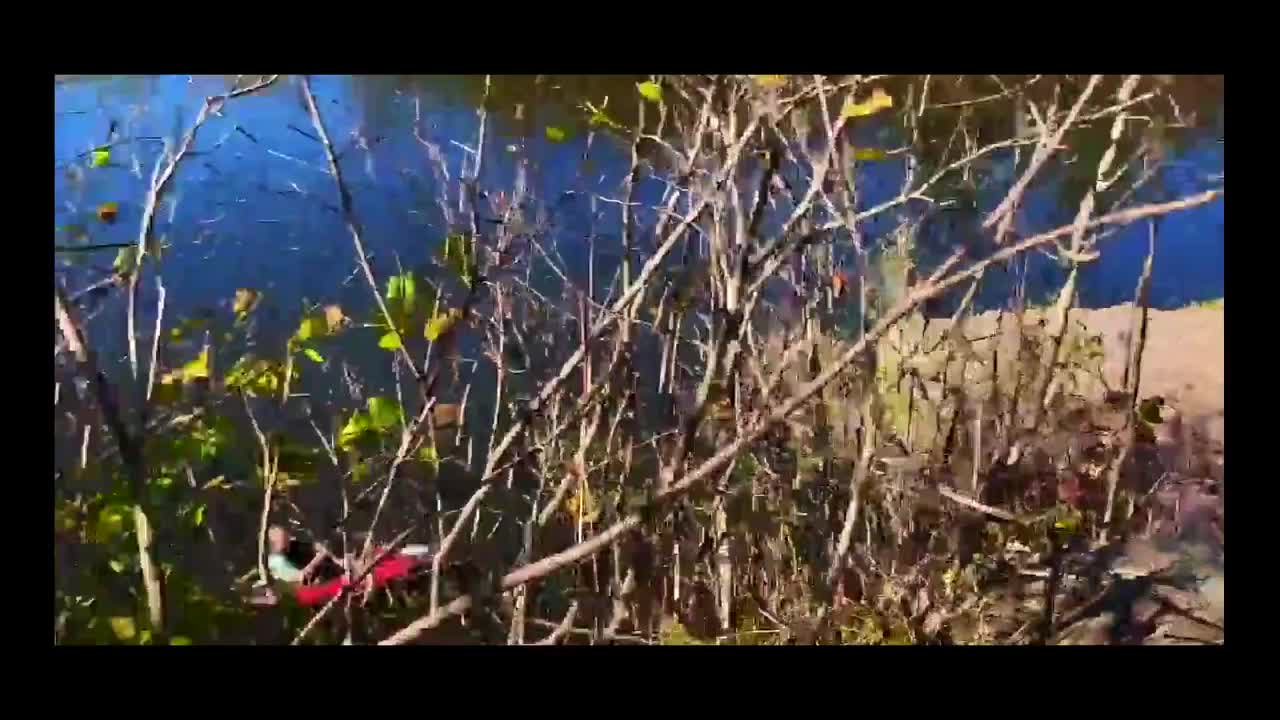 Watch Fucking in the park while no one sees. Full. Duration: 10:45 | ePornBabe.