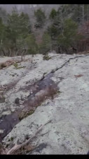 Outdoor blowjob for a massive rod
