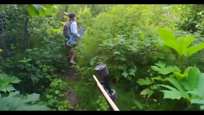 Amateur couple POV outdoor public BJ after skateboarding