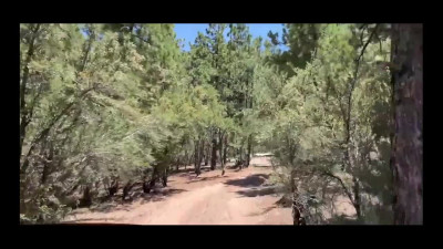 Amateur couple fucking naked outdoors