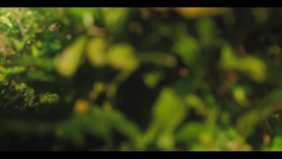 POV: slobbering blowjob from Russian starlet in a field