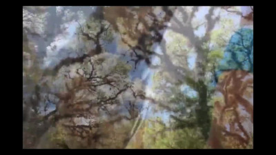 Almost caught - kinky couple has public sex in the Florida swamps on a hot summer day