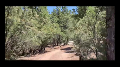 Camping couple vlogging their fuck in the wild