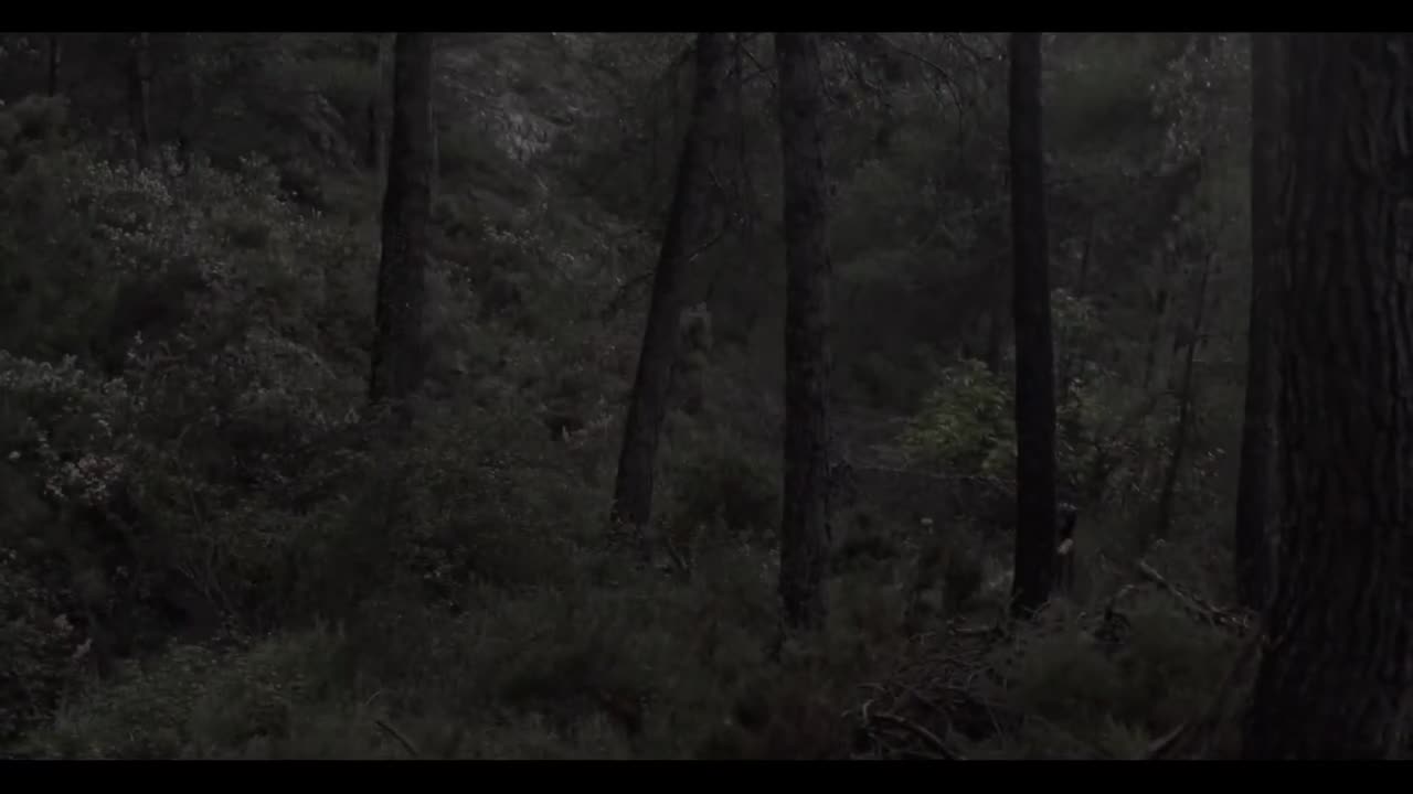 Watch Halloween Costume Fantasy Forest Fuck Full. Duration: 03:57 | ePornBabe.