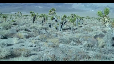 Hot lioness does it right in the desert pov
