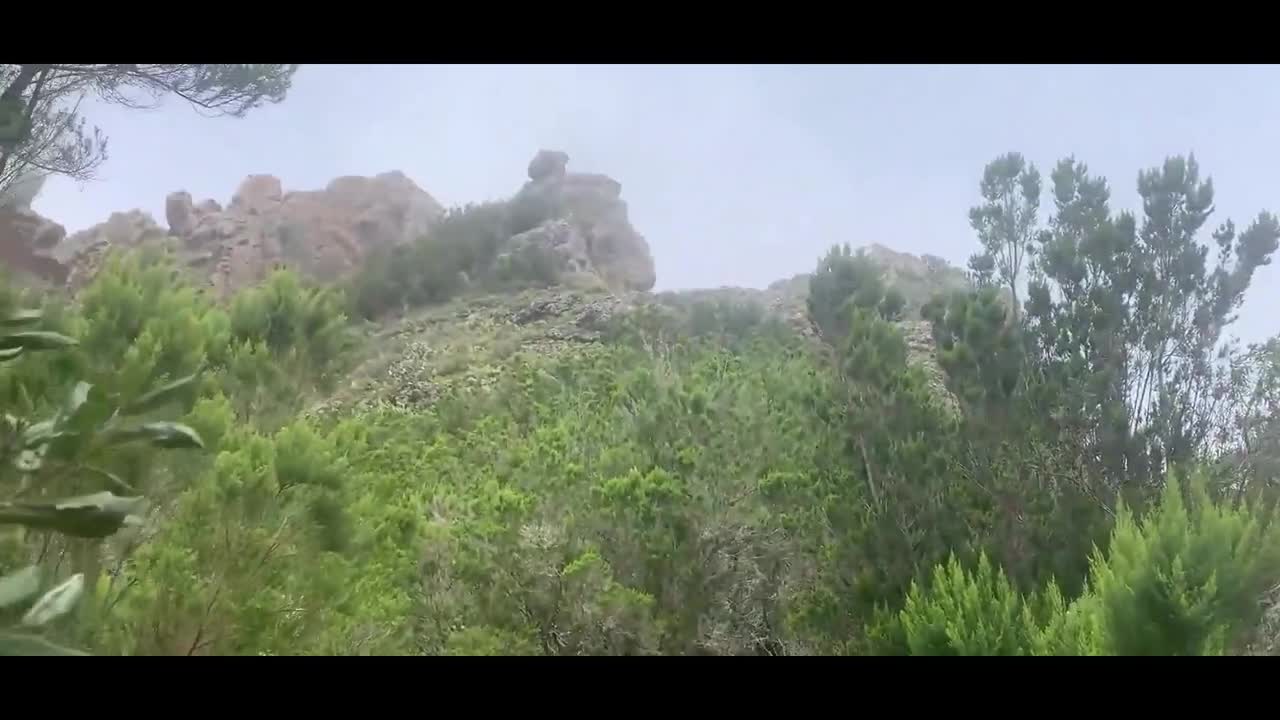 Watch Fit fella makes an outdoor love with a friend on a mountain's peak Full. Duration: 09:39 | ePornBabe.