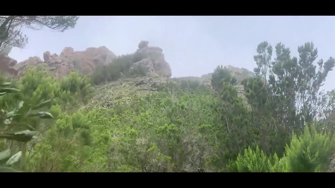 Watch Italian tourists fuck doggy outdoors Full. Duration: 09:39 | ePornBabe.