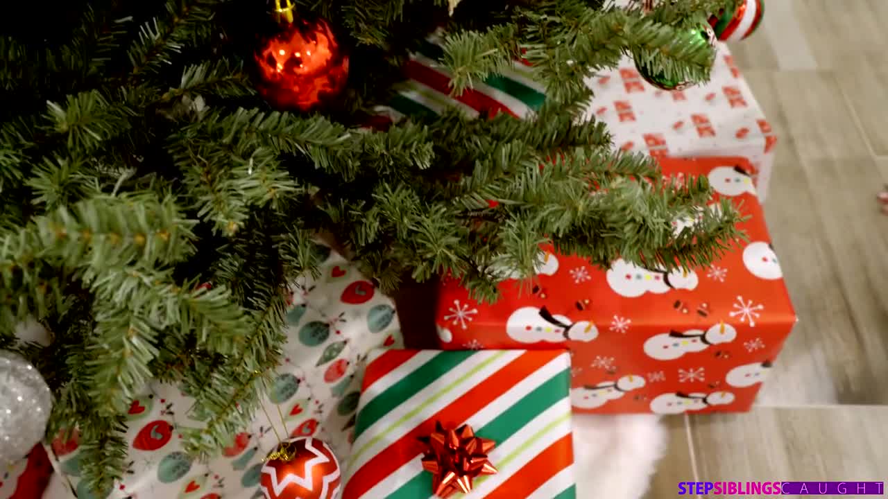 Watch Christmas present for magnificent Vanna Bardot by way of her favorite cock Full. Duration: 06:58 | ePornBabe.