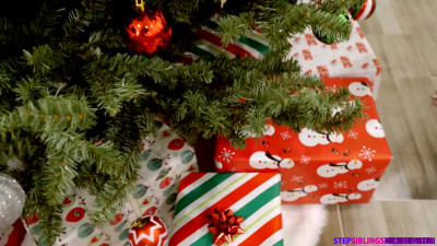Christmas present for magnificent Vanna Bardot by way of her favorite cock