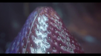 Anime Dolls w Big Boobs enjoy Insect-Fetish in hot Hentai Scene