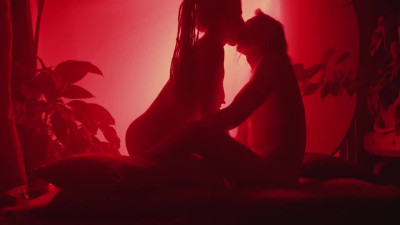 Exotic fuck in the red light (silhouette porno)