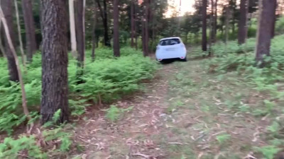 Doggystyle in the woods with a stranger