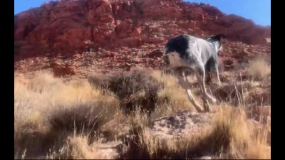 Real couple fuck in the Canyon - Amateur Porn
