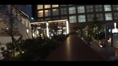 Picked-up Japanese teen shows her Bushy Vag & fucks hard