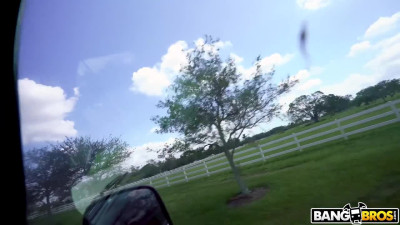 Teen chick is picked up from a street by random guy to give juicy blowjob