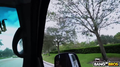 Blonde hooker Blows Cock and Fucks hard in Van