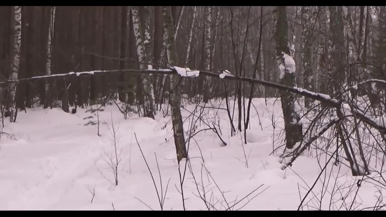 Watch Cute pink-haired babe sucks cock in the forest - Free Amateur POV Porn Full. Duration: 08:18 | ePornBabe.