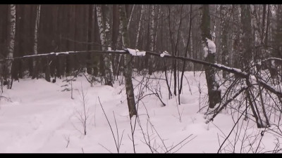 Cute pink-haired babe sucks cock in the forest - Free Amateur POV Porn