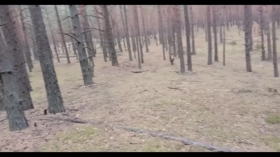 Chick in tights fucked hard in the forest - Amateur Porn