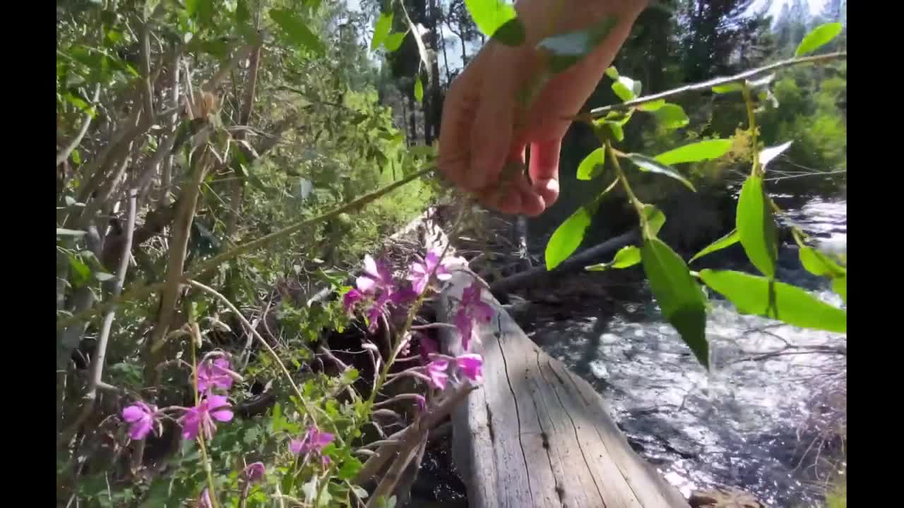 Watch Mountain trip turned into wild Outdoor sex in POV. Busty babe is so HOT! Full. Duration: 09:38 | ePornBabe.