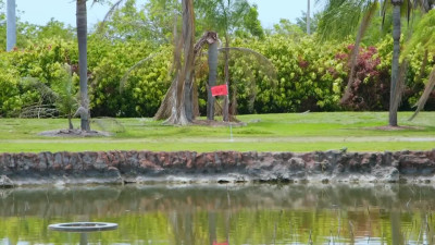 Shae Celestine sucked her Golf Trainer's cock and let him lick her hole