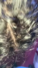 Young chick blows cock and fingers her pussy - Amateur Porn