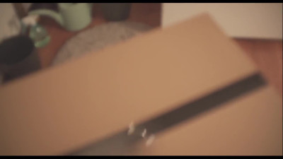 He got a busty blond in a gift box for Christmas