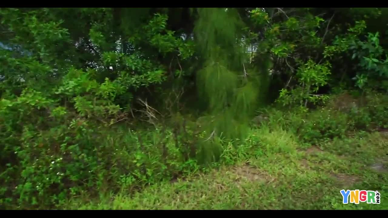 Watch Skinny fit babe blows a cock outdoors Full. Duration: 10:00 | ePornBabe.