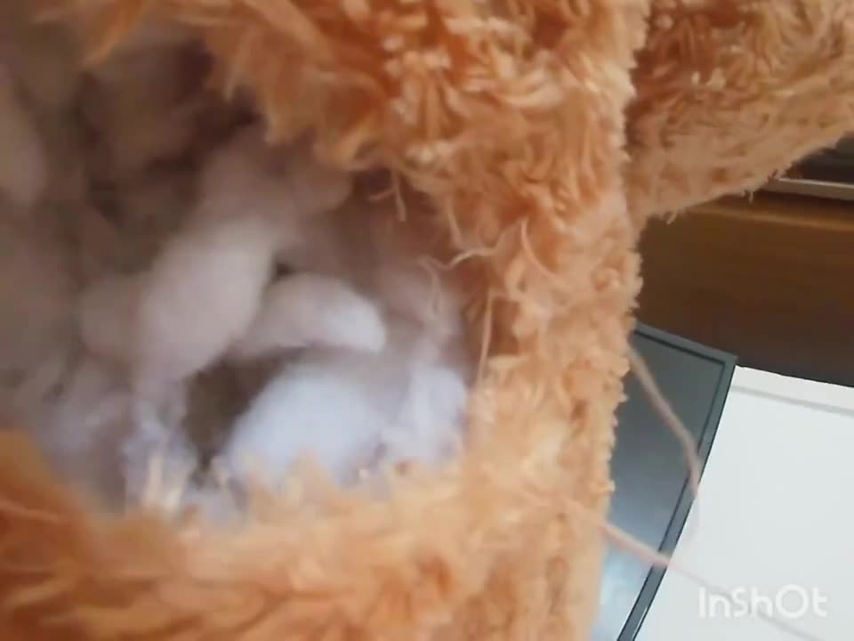 Watch This bitch is getting fucked by a teddy bear Full. Duration: 05:14 | ePornBabe.