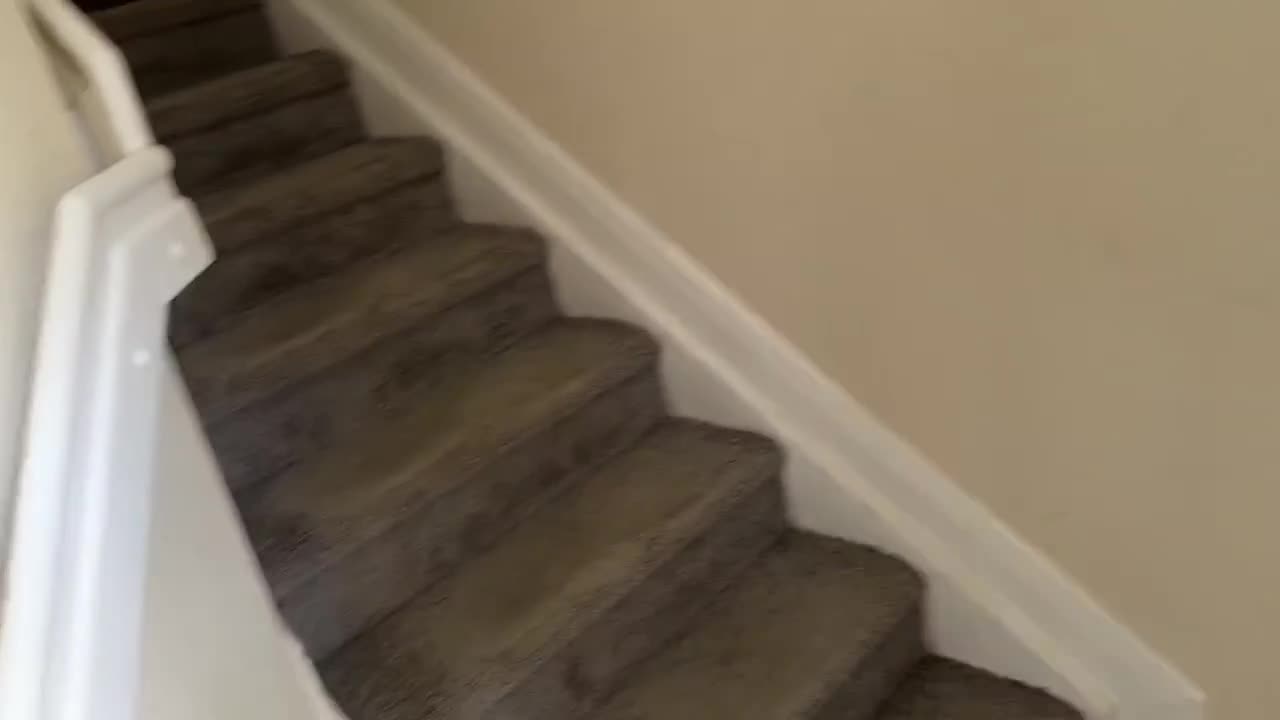 Watch Inked Milf won't stop moaning and begs to cum inside - POV Full. Duration: 14:29 | ePornBabe.